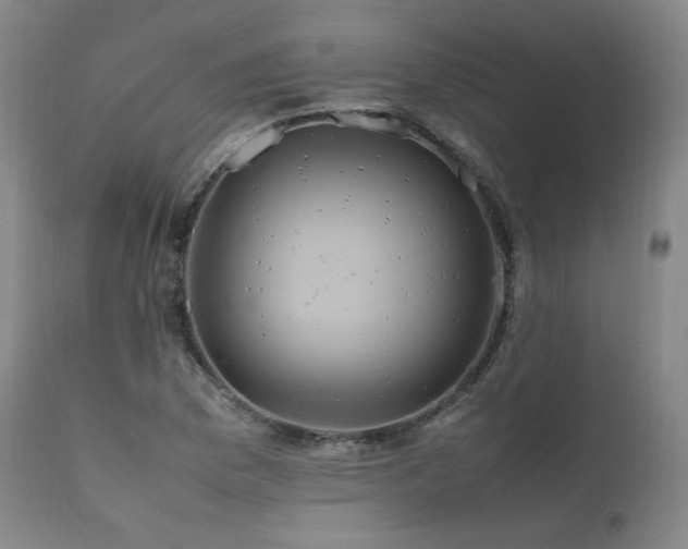 X0000111811169200907231227