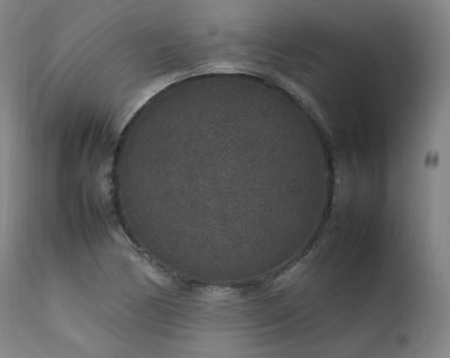 X0000111811170200907231227