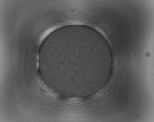 X0000111811171200907231227