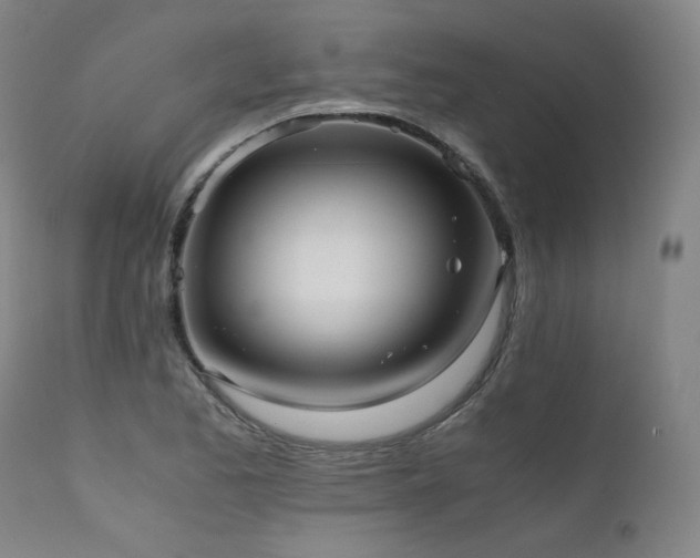 X0000111811173200907231227