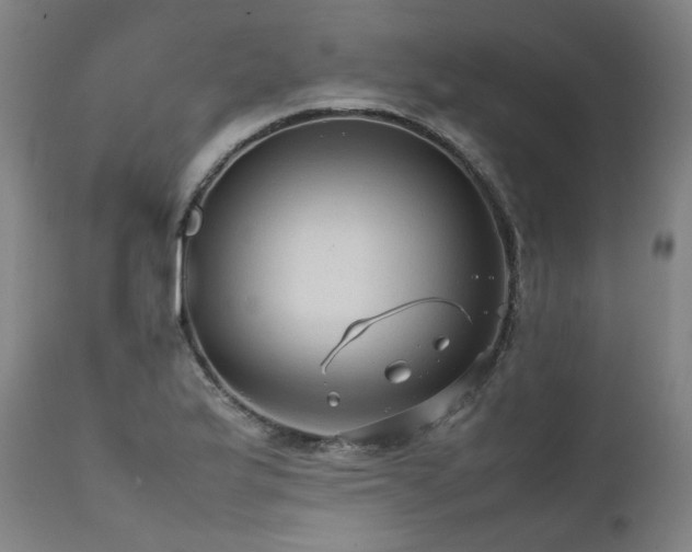 X0000111811175200907231227