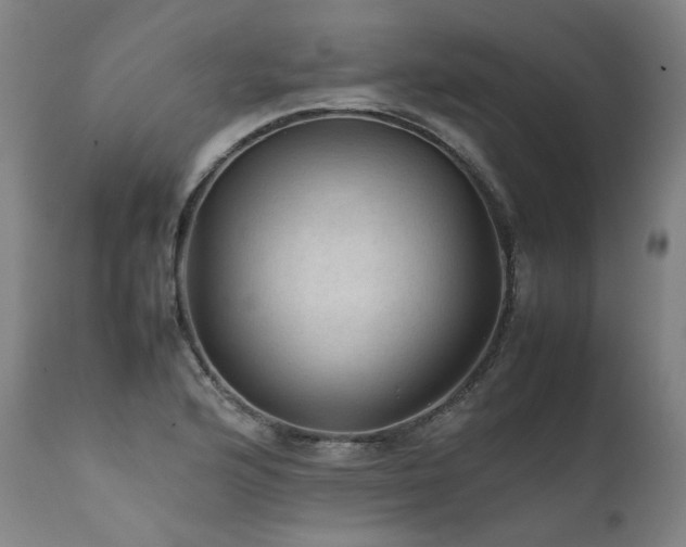 X0000111811176200907231227