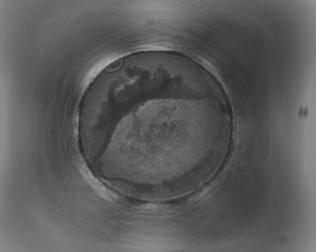X0000111811179200907231227