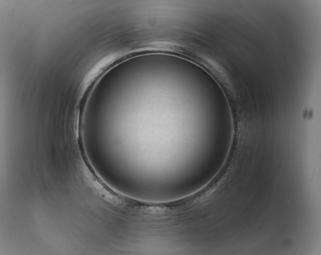 X0000111811180200907231227