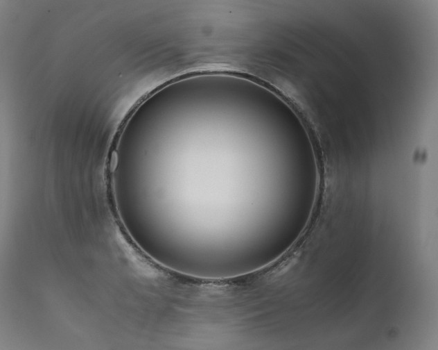 X0000111811181200907231227