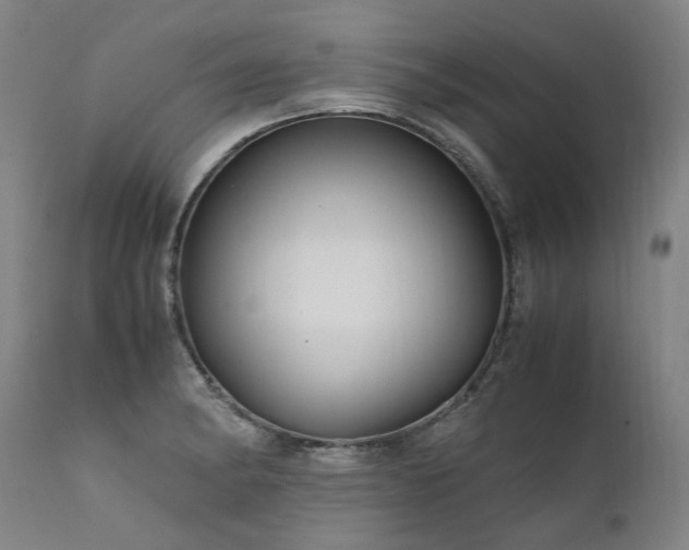 X0000111811182200907231227