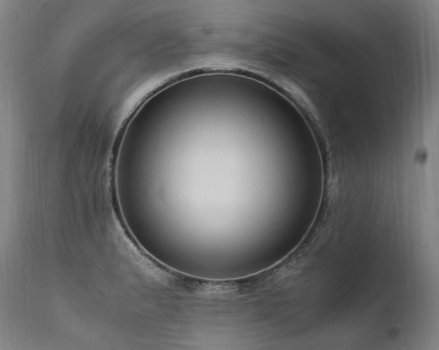 X0000111811183200907231227
