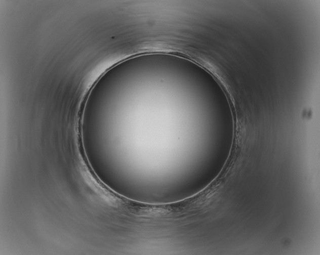 X0000111811187200907231227