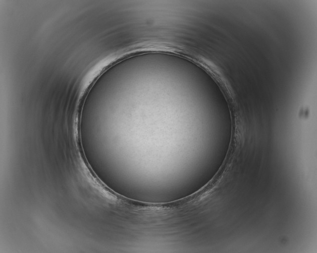 X0000111811188200907231227