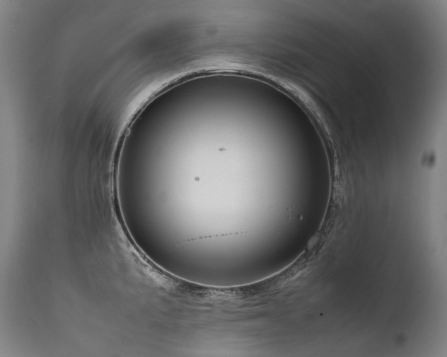 X0000111811191200907231227