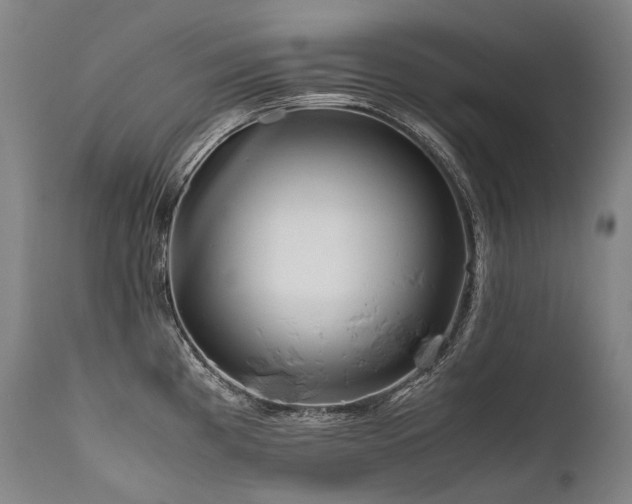 X0000111811193200907231227