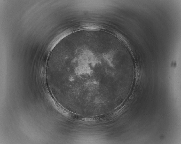 X0000111811194200907231227