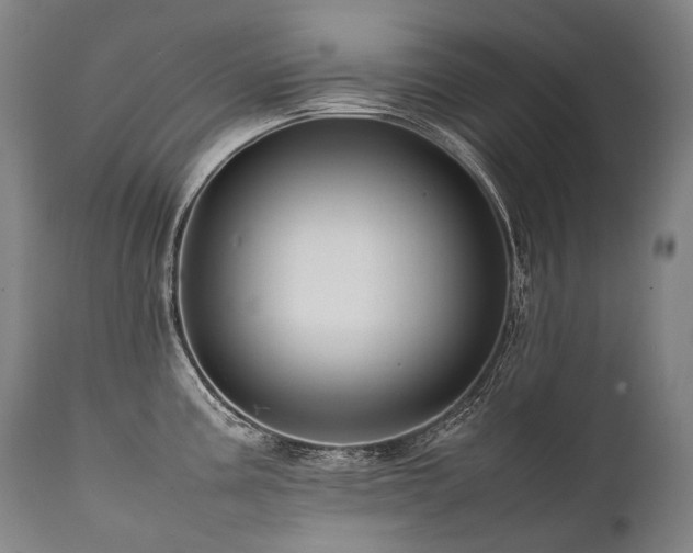 X0000111811195200907231227