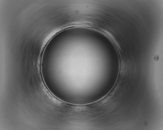 X0000111811196200907231227