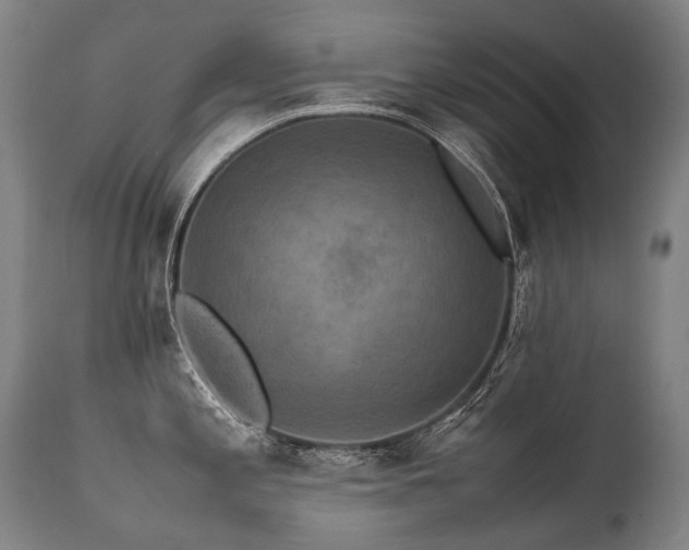 X0000111811197200907231227