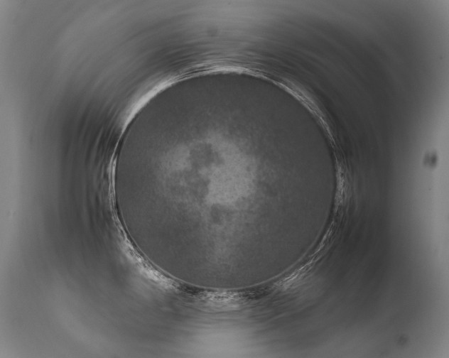 X0000111811198200907231227