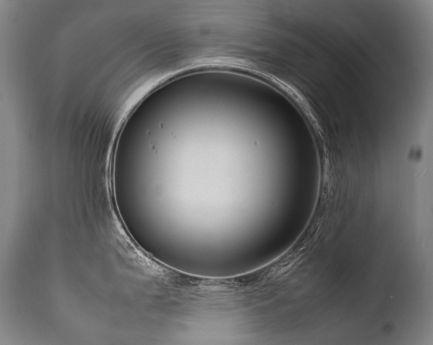 X0000111811199200907231227