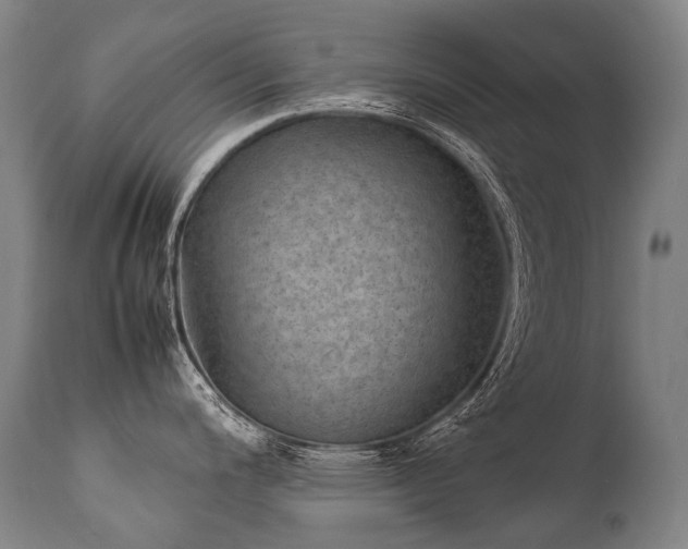 X0000111811200200907231227