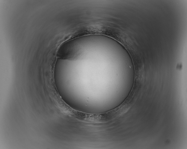X0000111811201200907231226