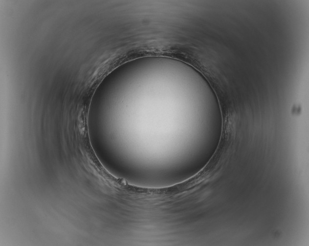 X0000111811202200907231226