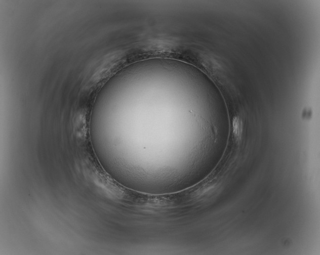 X0000111811203200907231226