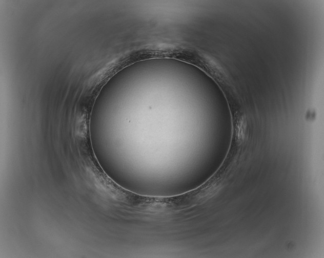 X0000111811204200907231226