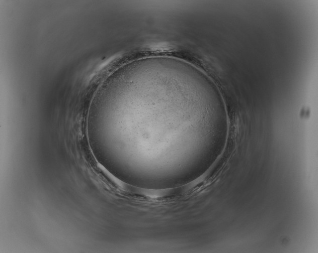 X0000111811205200907231226