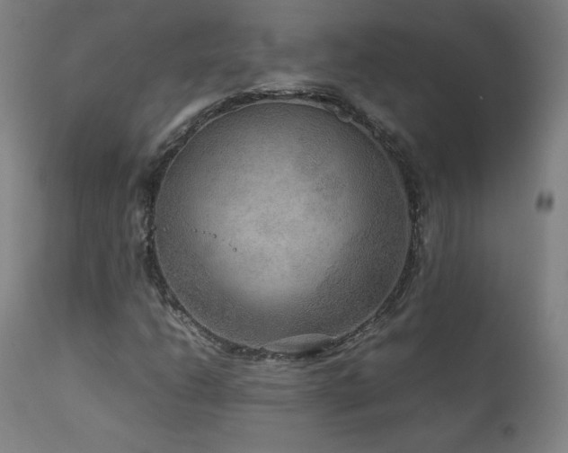 X0000111811206200907231226