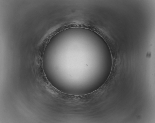 X0000111811207200907231226