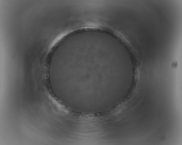 X0000111811208200907231226