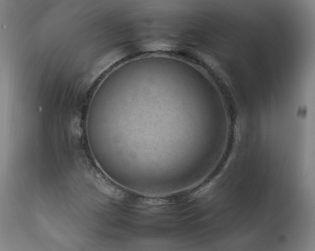 X0000111811209200907231226