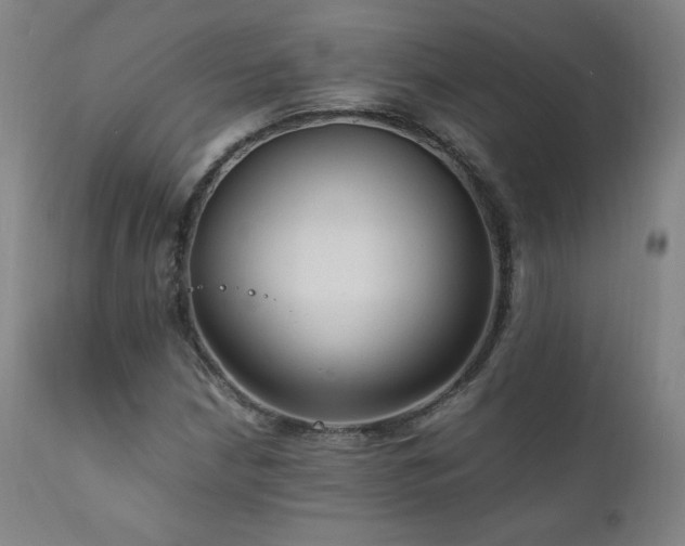 X0000111811210200907231226