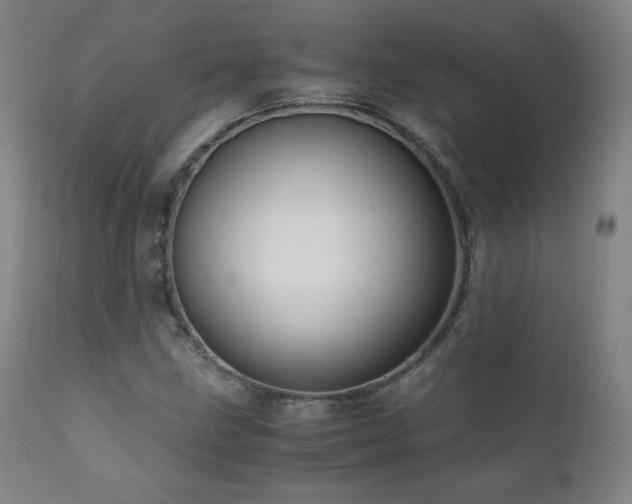 X0000111811211200907231226