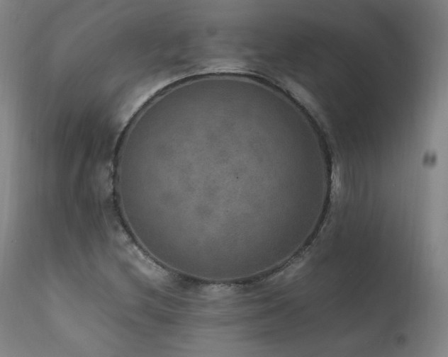 X0000111811212200907231226