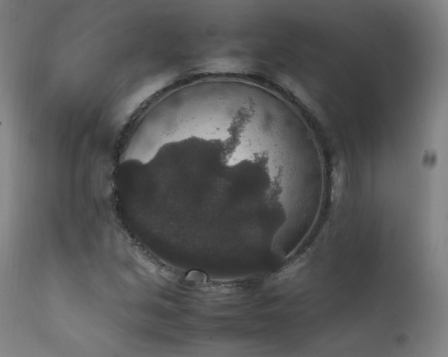 X0000111811213200907231226