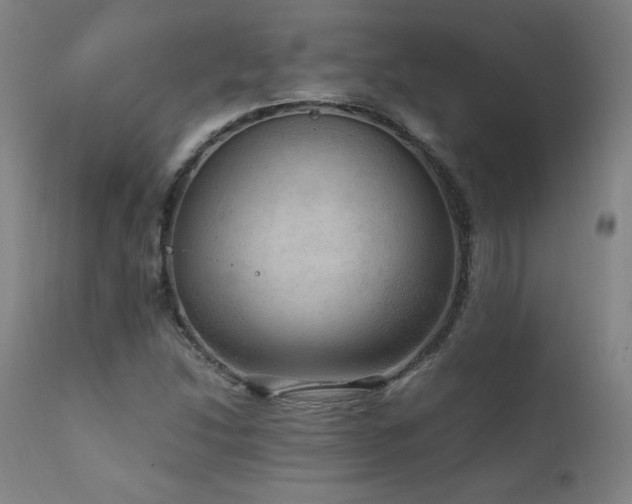X0000111811214200907231226