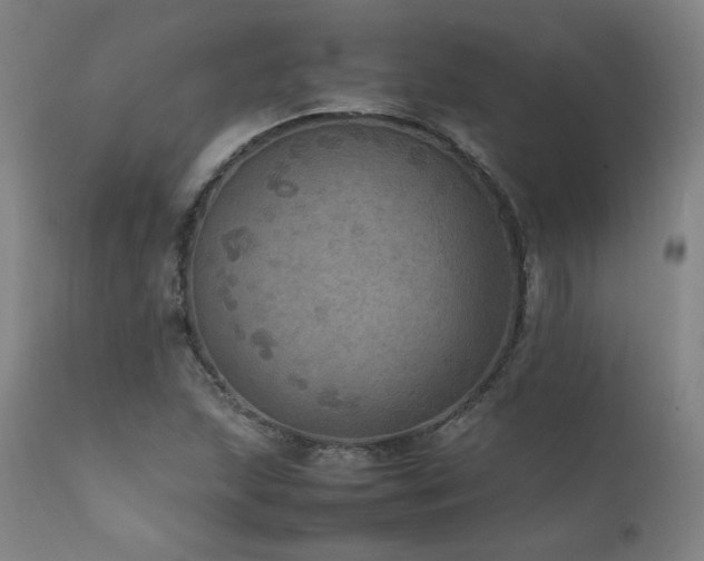 X0000111811215200907231226