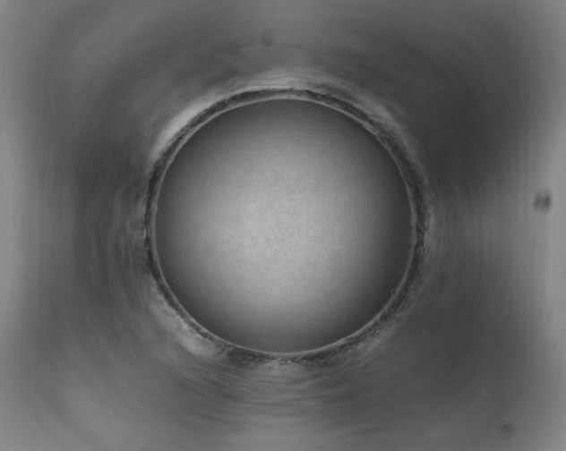 X0000111811216200907231226