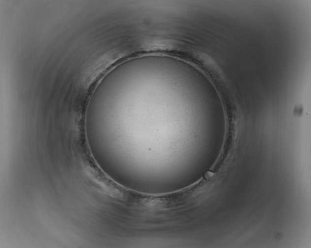 X0000111811217200907231226