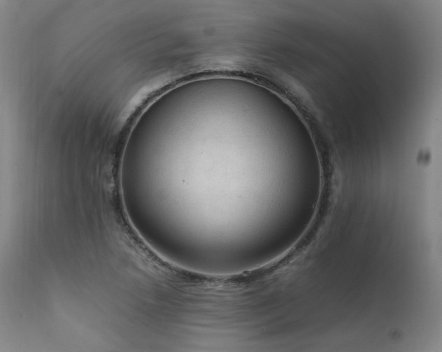 X0000111811218200907231226