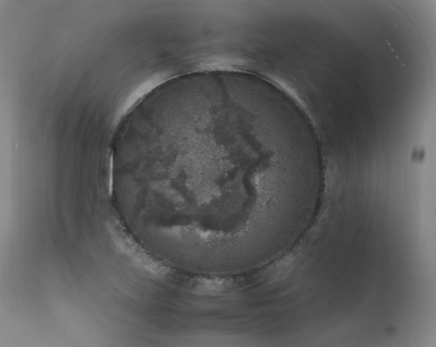 X0000111811219200907231226