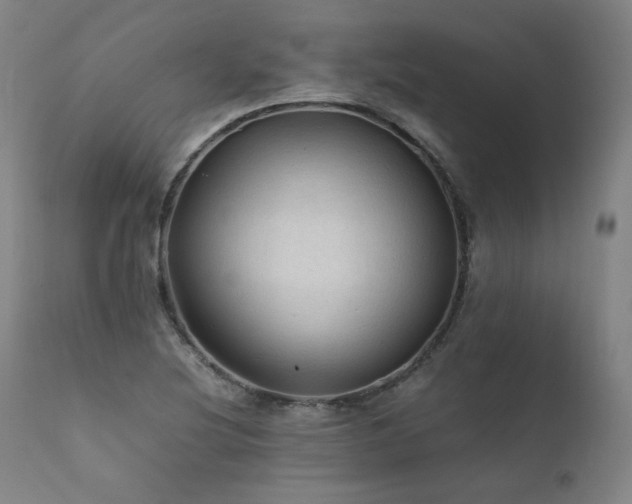 X0000111811220200907231226