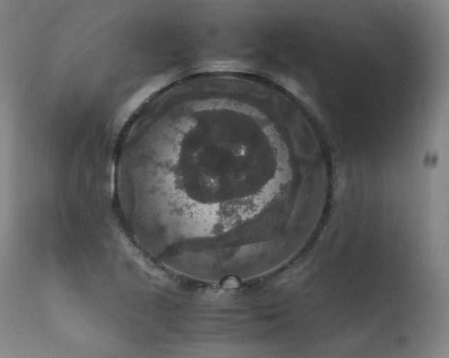 X0000111811221200907231226