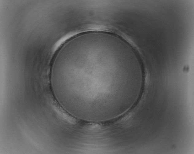 X0000111811222200907231226
