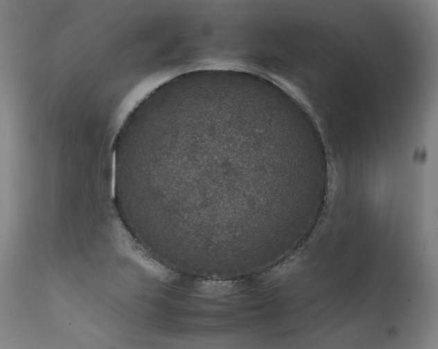 X0000111811223200907231226
