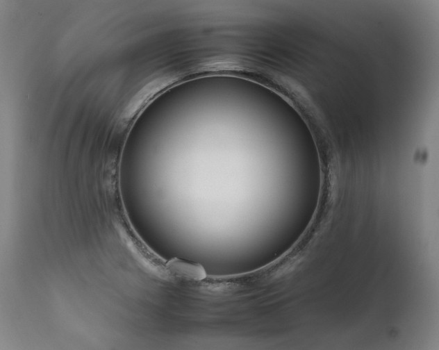 X0000111811225200907231226