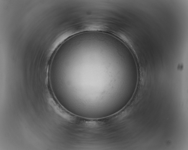 X0000111811227200907231226