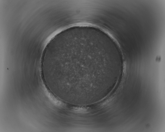 X0000111811229200907231226