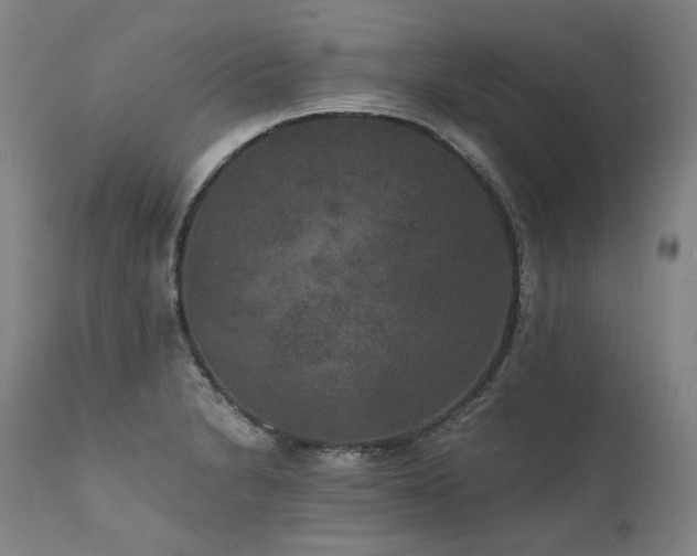 X0000111811230200907231226