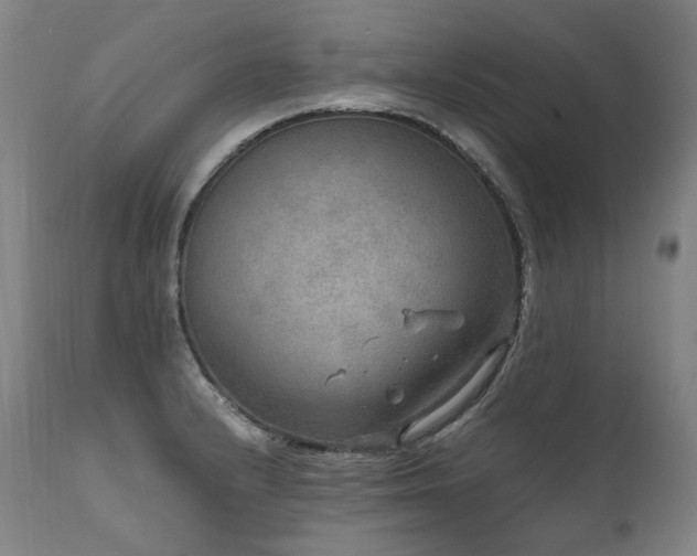 X0000111811232200907231226